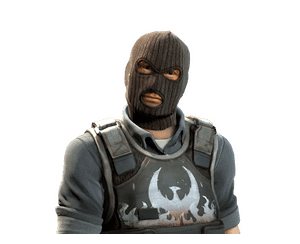 CSGOCASES.COM | 1$ %100 AGENT Case