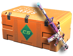 CSGOCASES.COM | Gallery Case