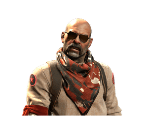 CSGOCASES.COM | NEW AGENT CASE Case